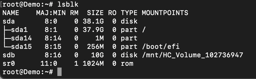 Commandline lsblk output