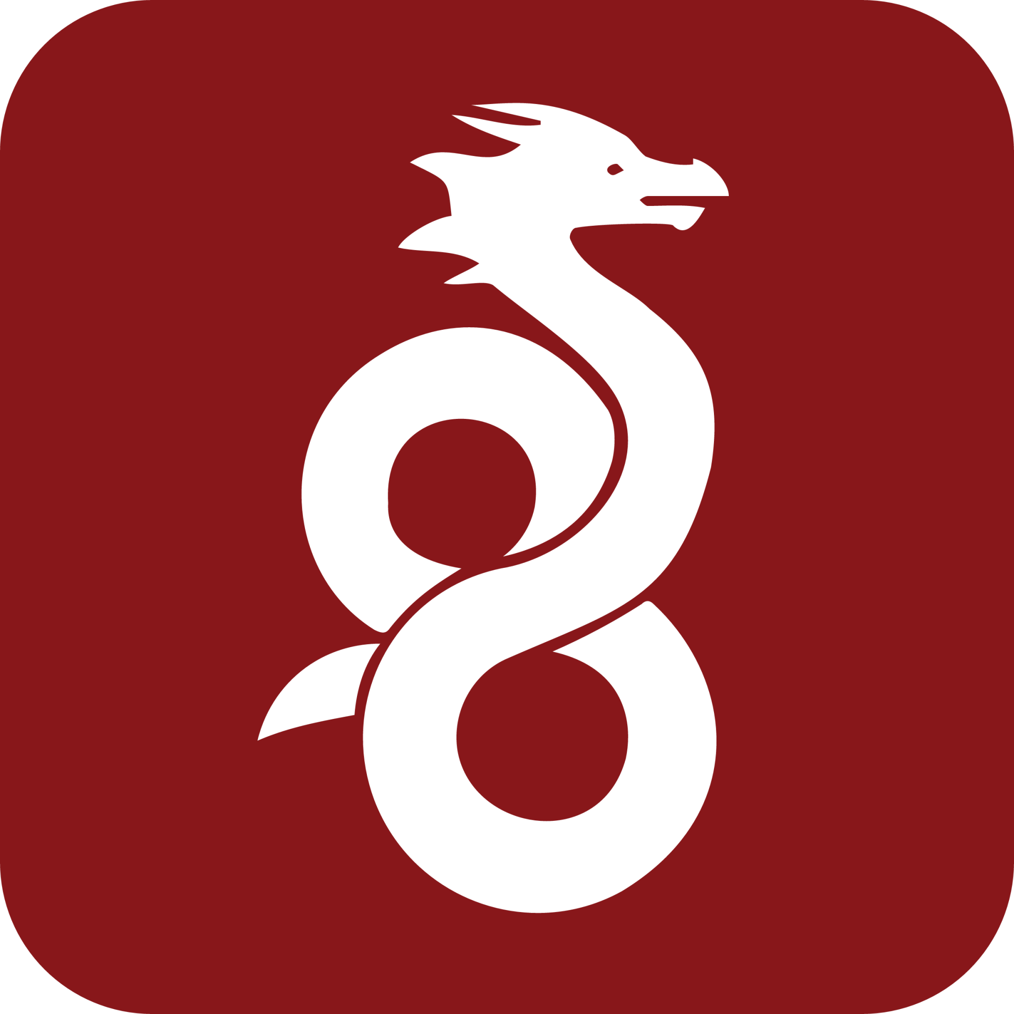 WireGuard Logo